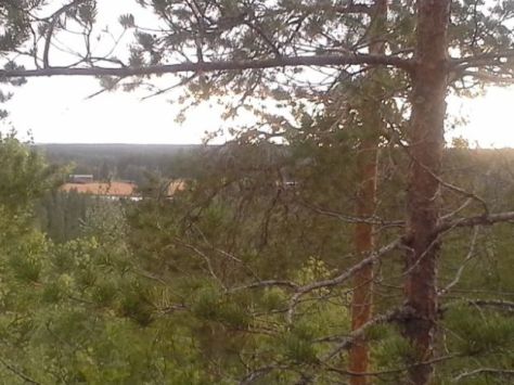 Blogiin ja vielä näkymä