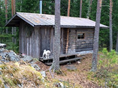 Autiotupa ja Pluto lähikuva