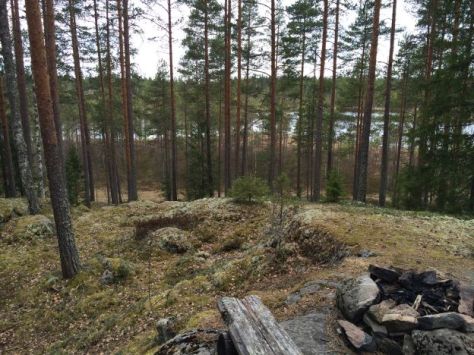 Näkymä autiotuvalta