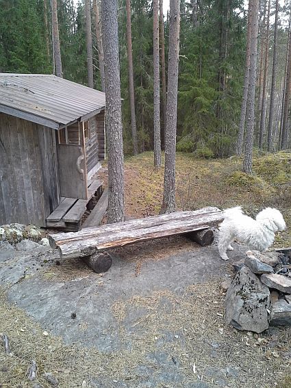 Nuotiopaikka ylhäällä