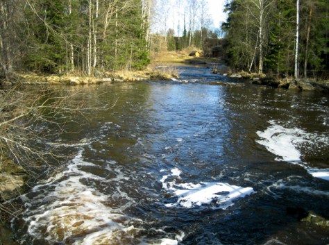 Sarvikkaankosket_5972