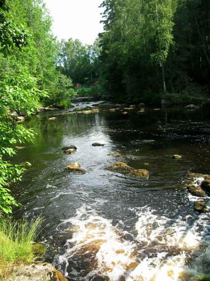 Sarvikkaankosket_Ylijoelta 011