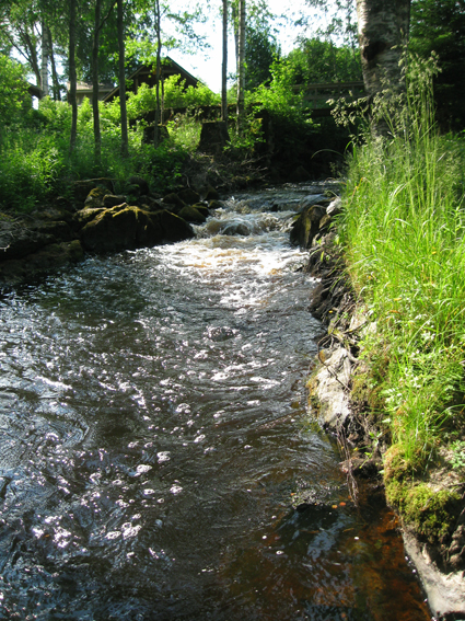 Sarvikkaankosket_Ylijoelta 014