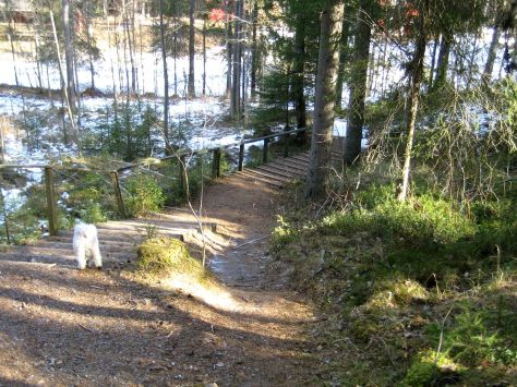 ok Pluto alas rappusia