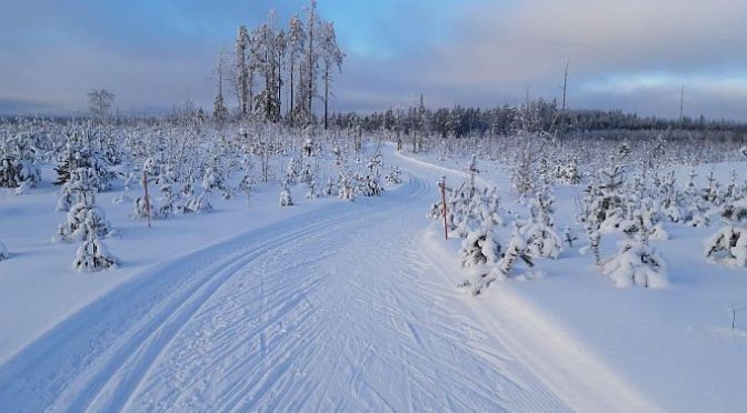 Valkealampi on lakeuden lappi