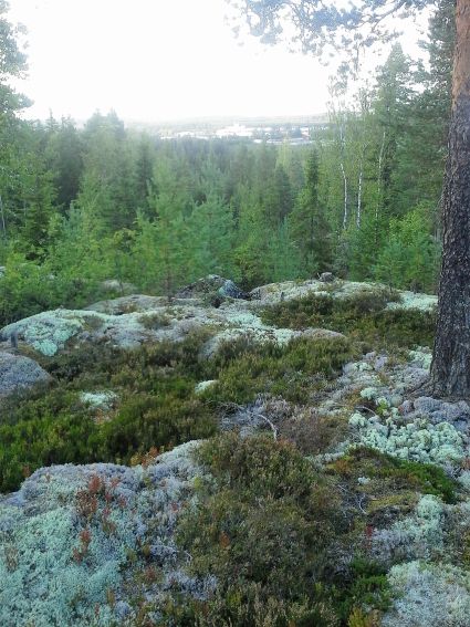 M näkymä Keskiselle