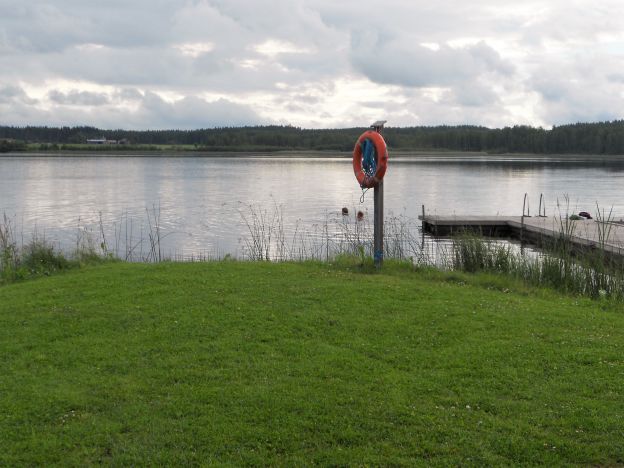 muokattu uimarit.jpg