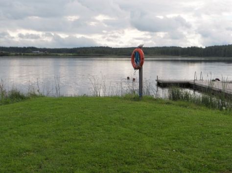 muokattu uimarit.jpg