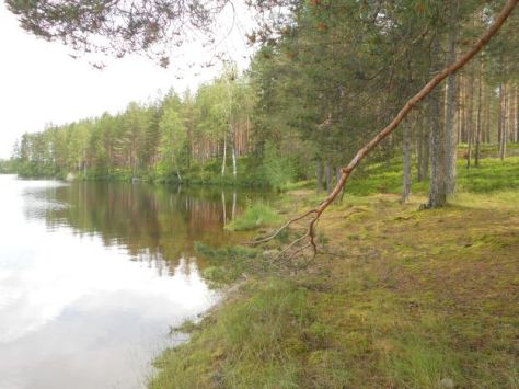 Rantaa muokattu pieni