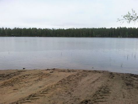 valkealammen rantaa muok