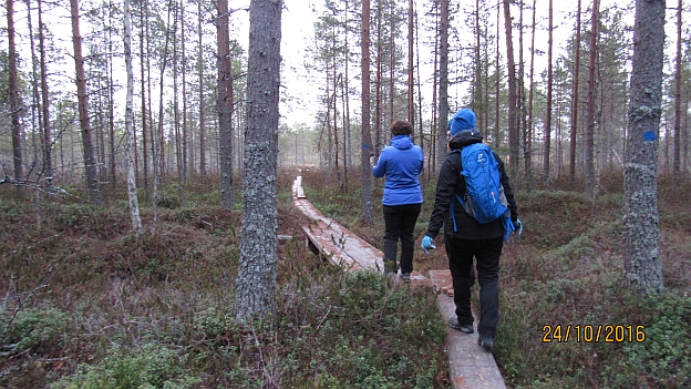 Pitkospuilla kävelyä