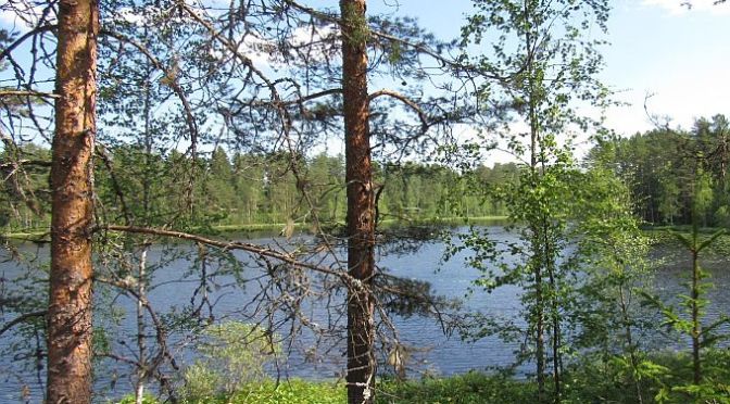 Ähtäri Zoo – Experienced & written by Giovanna Tanzi