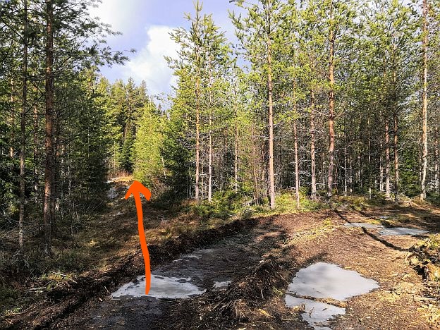 reitin risteyskohta_LI