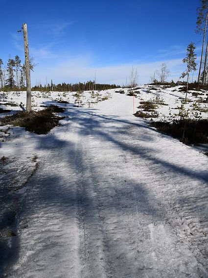 valkealampi_ja_jakalamaki8