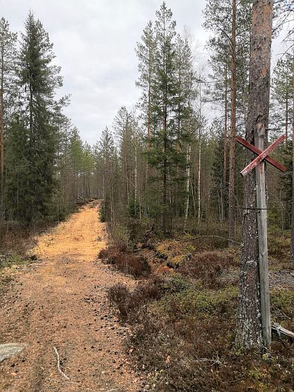 Moottorikelkkareittiä