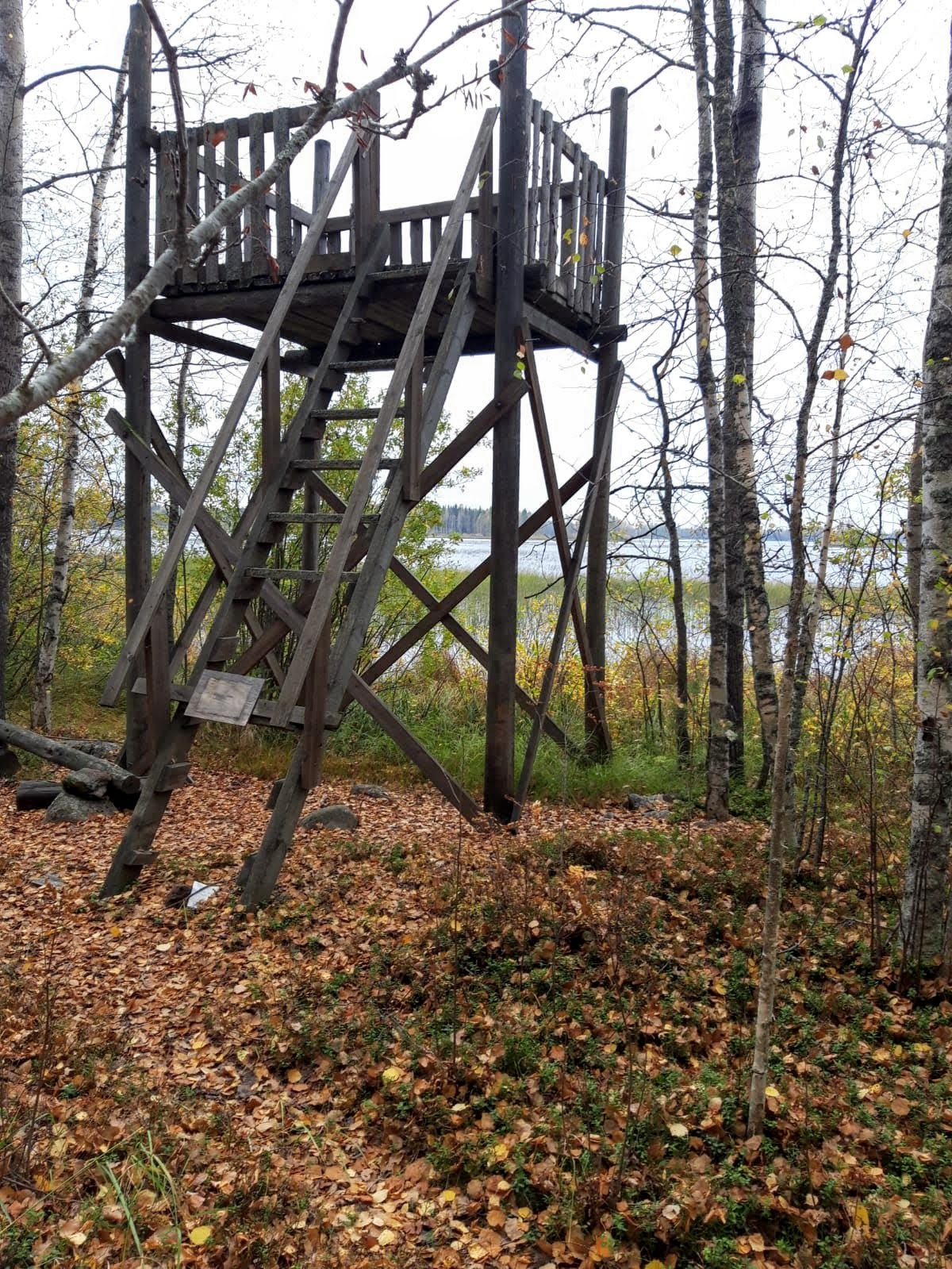 Lintutorni ennen remonttia