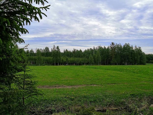 malluusen_frisbeegolfrata5