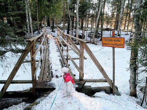 Silta kevättalvella